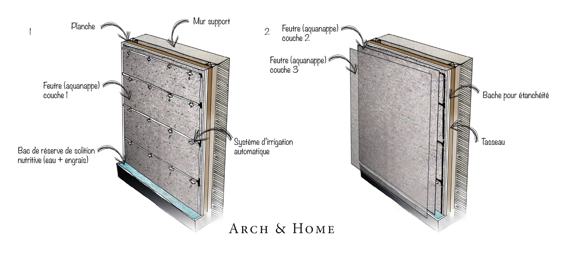 Installer un mur vegetal intérieur ou extérieur - Schéma 1 - Arch & Home
