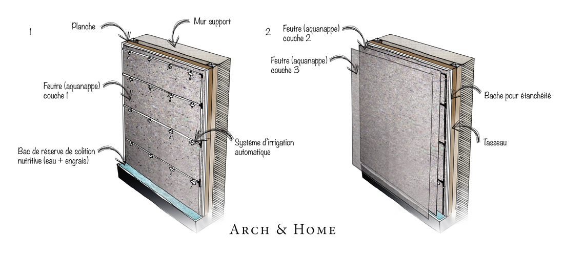 Conception de murs végétaux. Installation de mur végétal intérieur et de mur  végétal extérieur