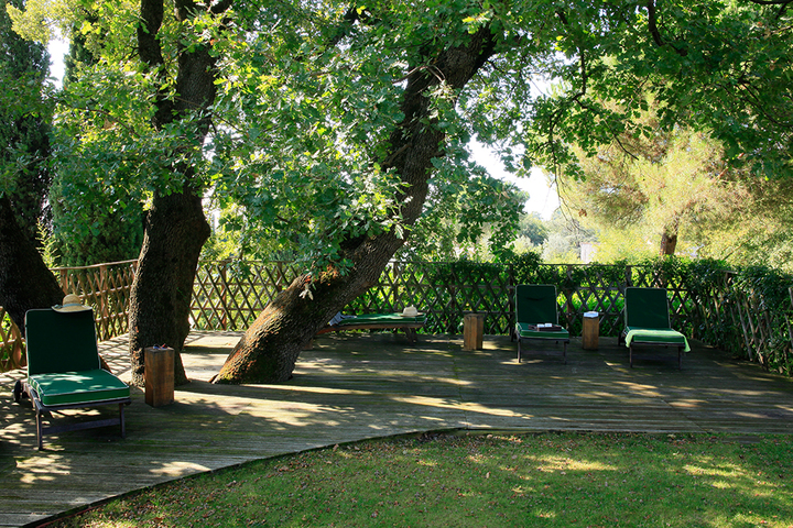 Geneviève Cabiaux-Paysagiste-Autour d'un chêne-Jardin - photo 2