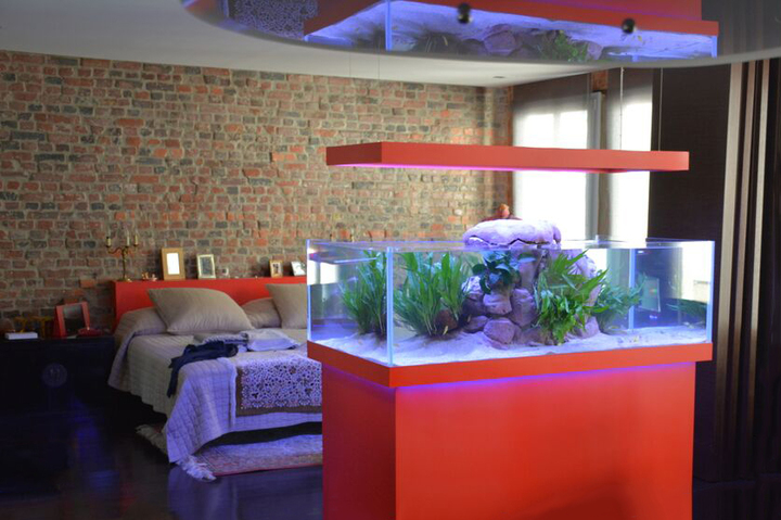 Océan d'intérieur-Aquariums-Quelques projets atypiques-0 - photo 1