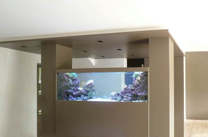 Océan d'intérieur-Aquariums-Quelques projets atypiques-0 - photo 4