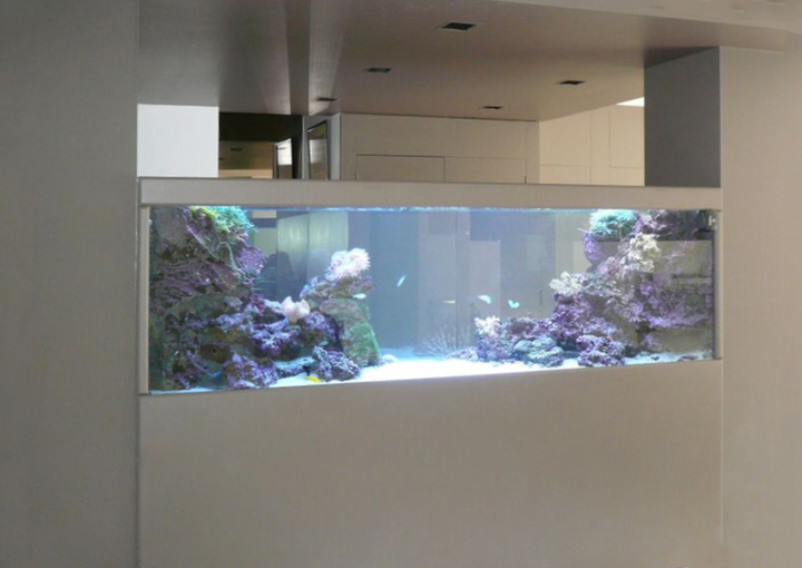 Océan d'intérieur-Aquariums-Quelques projets atypiques-0 - photo 1