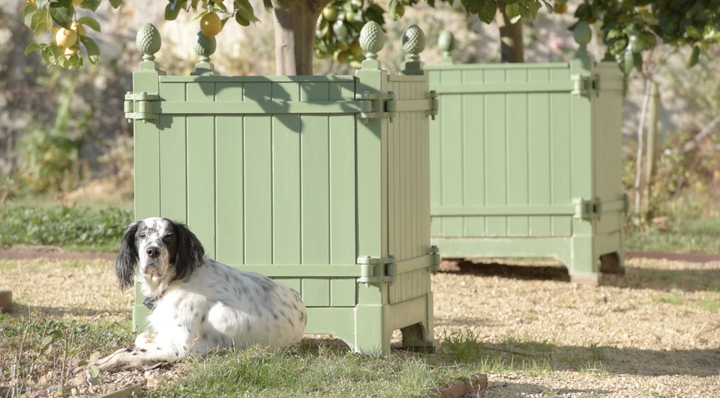 Saint Alman-Mobilier de jardin-Caisse à Oranger-Balcon - photo 2