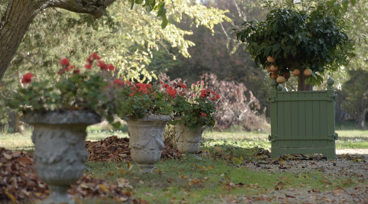 Saint Alman-Mobilier de jardin-Caisse à Oranger-Balcon - photo 3