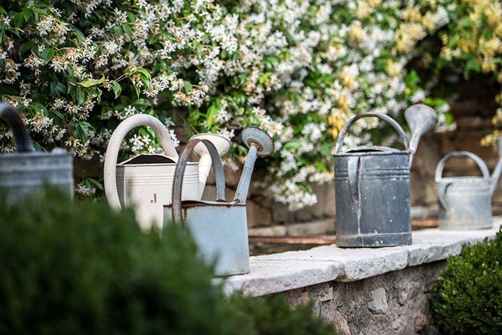 Geneviève Cabiaux-Paysagiste-Provence rêvée-Jardin - photo 4