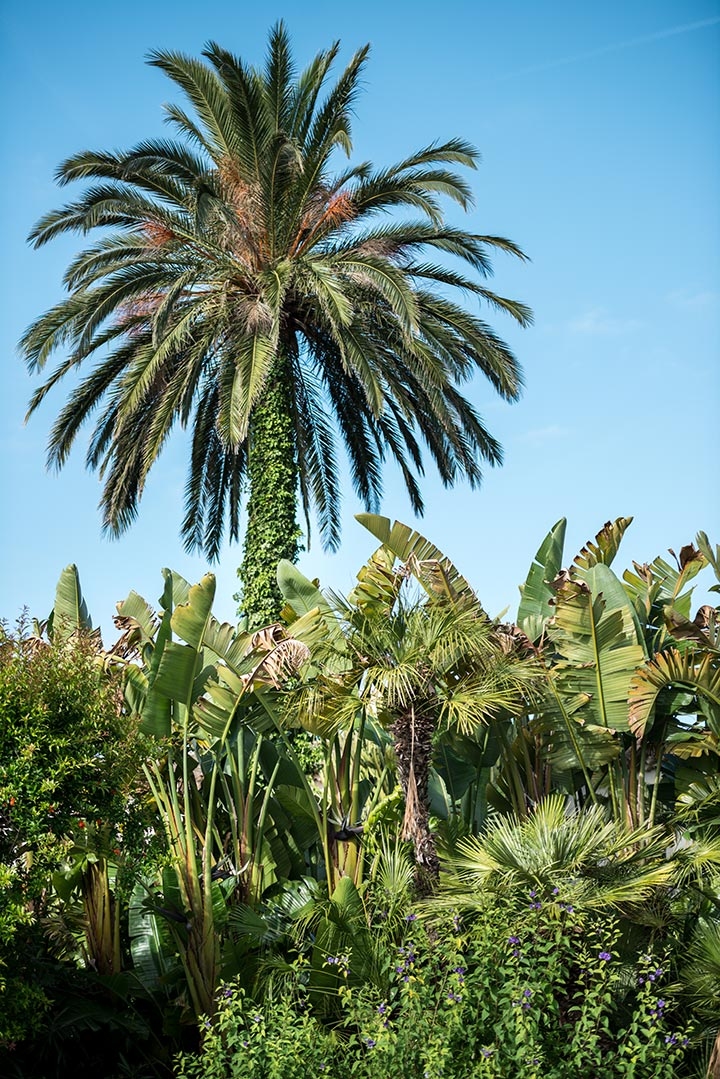 Geneviève Cabiaux-Paysagiste-L'Opéra Végétal-Jardin - photo 1