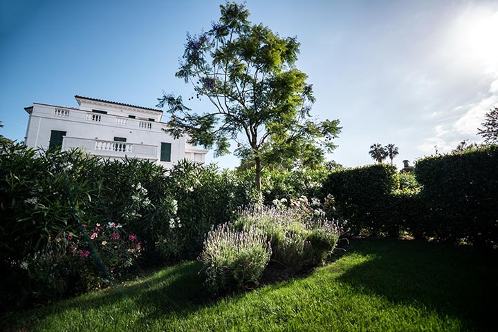 Geneviève Cabiaux-Paysagiste-L'Opéra Végétal-Jardin - photo 4