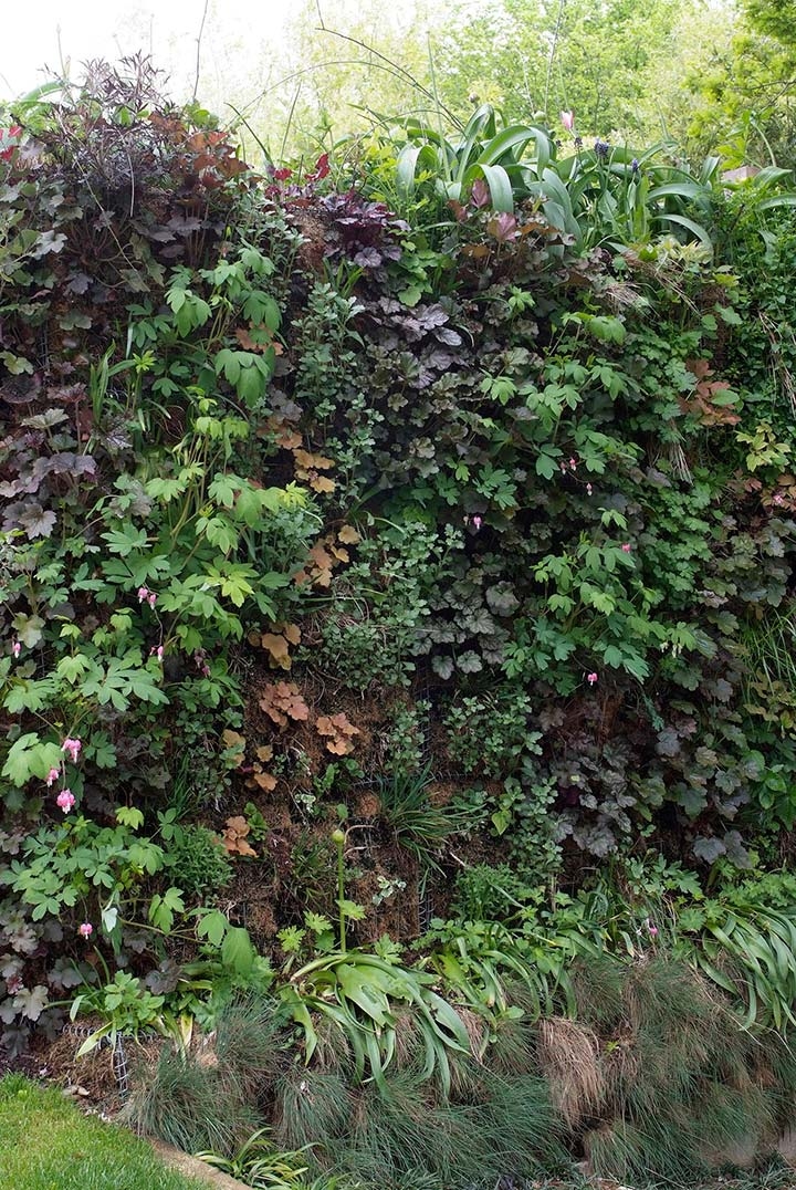 Horticulture et Jardins-Paysagiste-Les murs végétaux-Jardin - photo 3