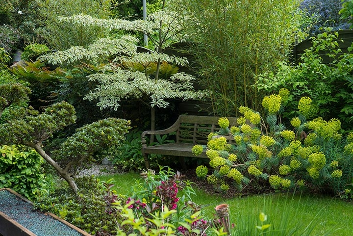 Opus Paysage-Paysagiste-Le jardin des quatre saisons-Jardin - photo 3