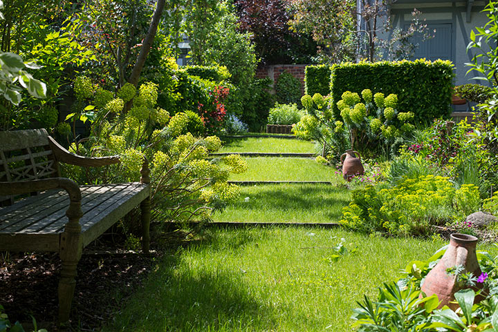 Opus Paysage-Paysagiste-Le jardin des quatre saisons-Jardin - photo 1