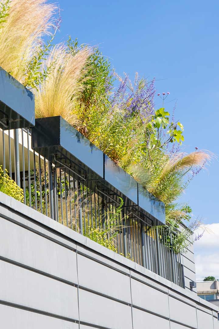 Opus Paysage-Paysagiste-Jardins suspendus pour un triplex parisien-Terrasse - photo 1