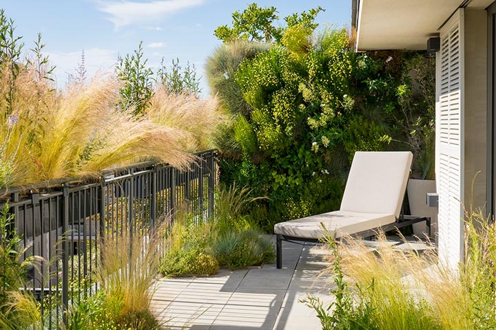 Opus Paysage-Paysagiste-Jardins suspendus pour un triplex parisien-Terrasse - photo 2