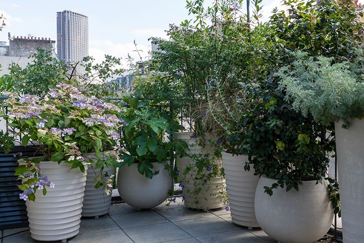 Opus Paysage-Paysagiste-Jardins suspendus pour un triplex parisien-Terrasse - photo 3