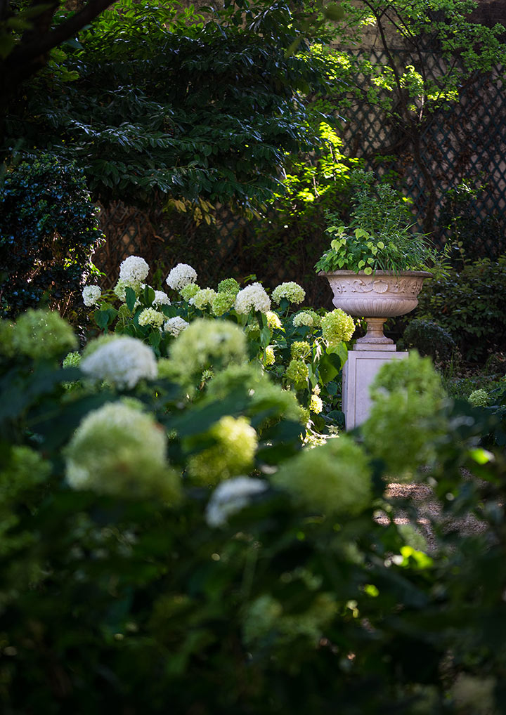 Opus Paysage-Paysagiste-De l'ombre à la lumière-Jardin - photo 1