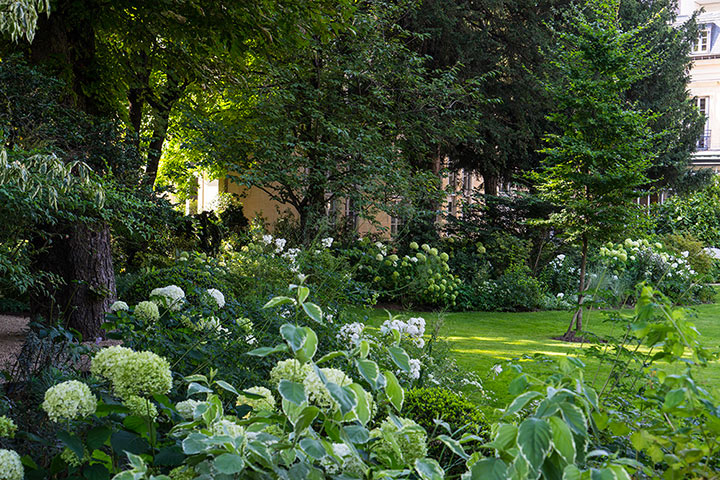 Opus Paysage-Paysagiste-De l'ombre à la lumière-Jardin - photo 2