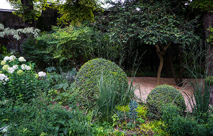 Opus Paysage-Paysagiste-De l'ombre à la lumière-Jardin - photo 2