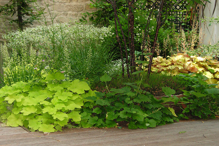 Opus Paysage-Paysagiste-Un espace de réflexion-Terrasse - photo 2