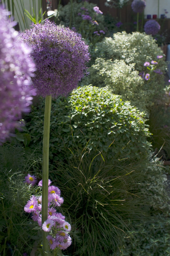 Opus Paysage-Paysagiste-Un écrin de nature-Jardin - photo 1