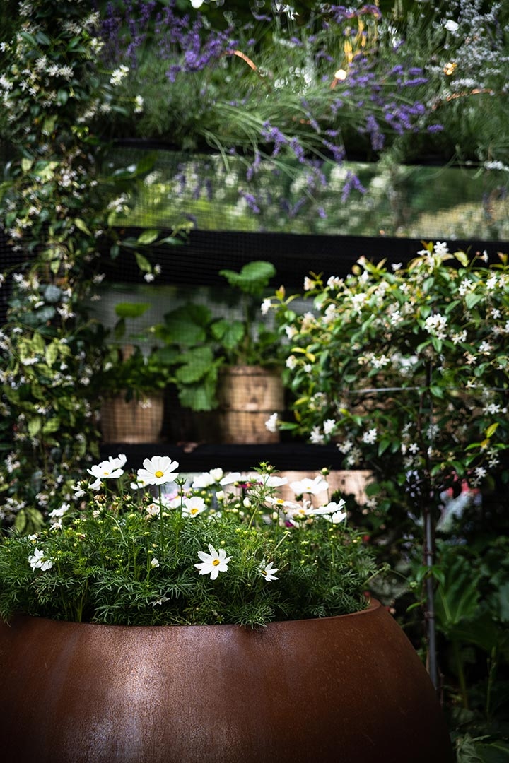 Horticulture et Jardins-Paysagiste-Le Jardin de Mr Paul - Salon Jardins, jardin 2018-Jardin - photo 2