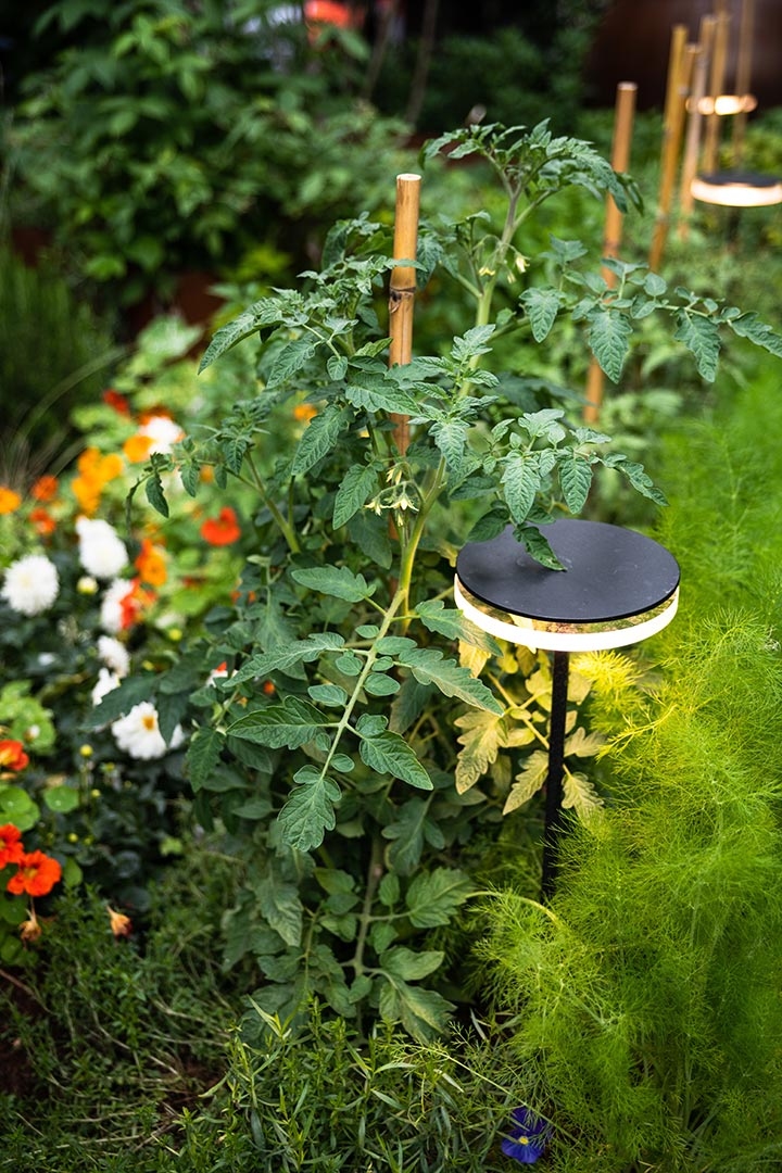 Horticulture et Jardins-Paysagiste-Le Jardin de Mr Paul - Salon Jardins, jardin 2018-Jardin - photo 3