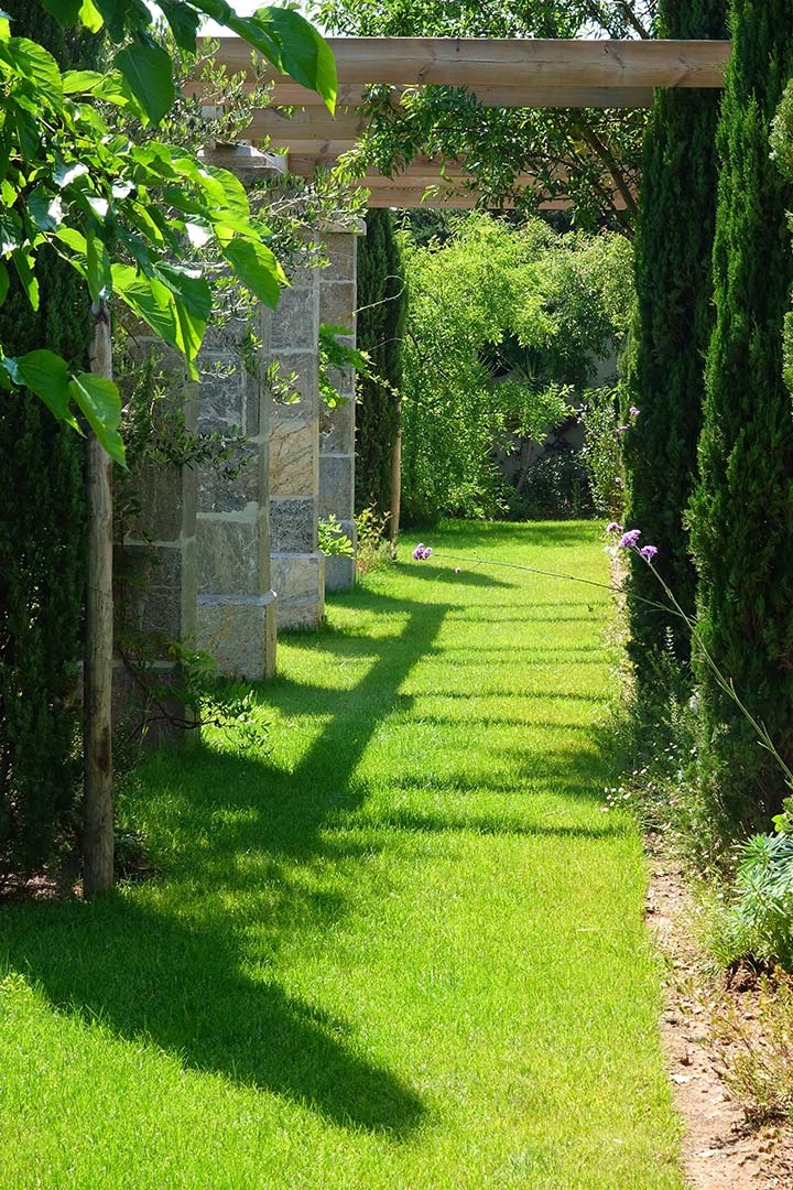 Opus Paysage-Paysagiste-Un jardin méditerranéen - Le Jardin du Parthénon-Jardin - photo 4