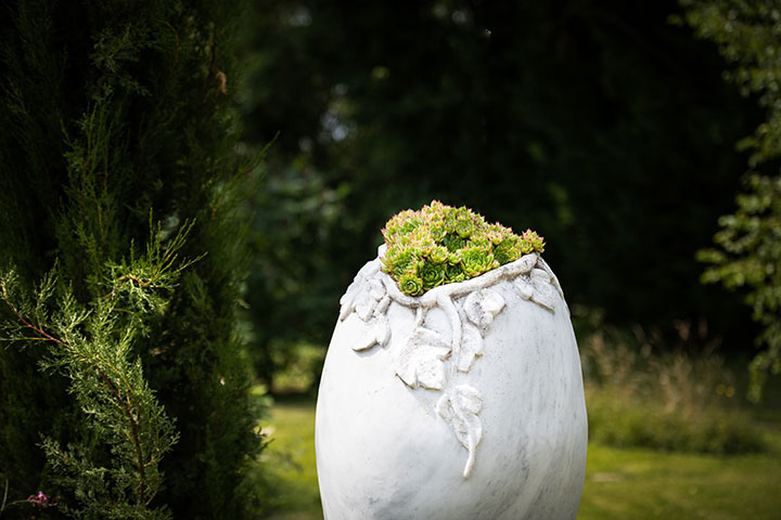 Yvon Tonnerre-Sculpture-Décors de jardin en pierre-0 - photo 2