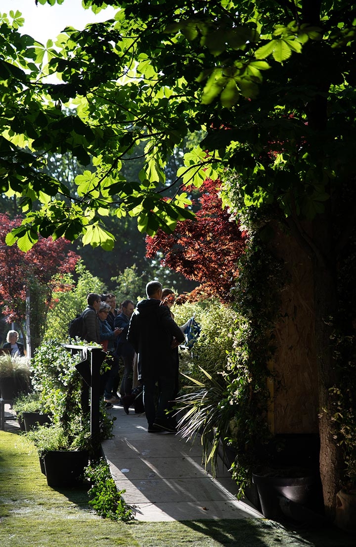 Horticulture et Jardins-Paysagiste-Salon Jardins, jardin 2019 - Robinson des villes-Jardin - photo 3