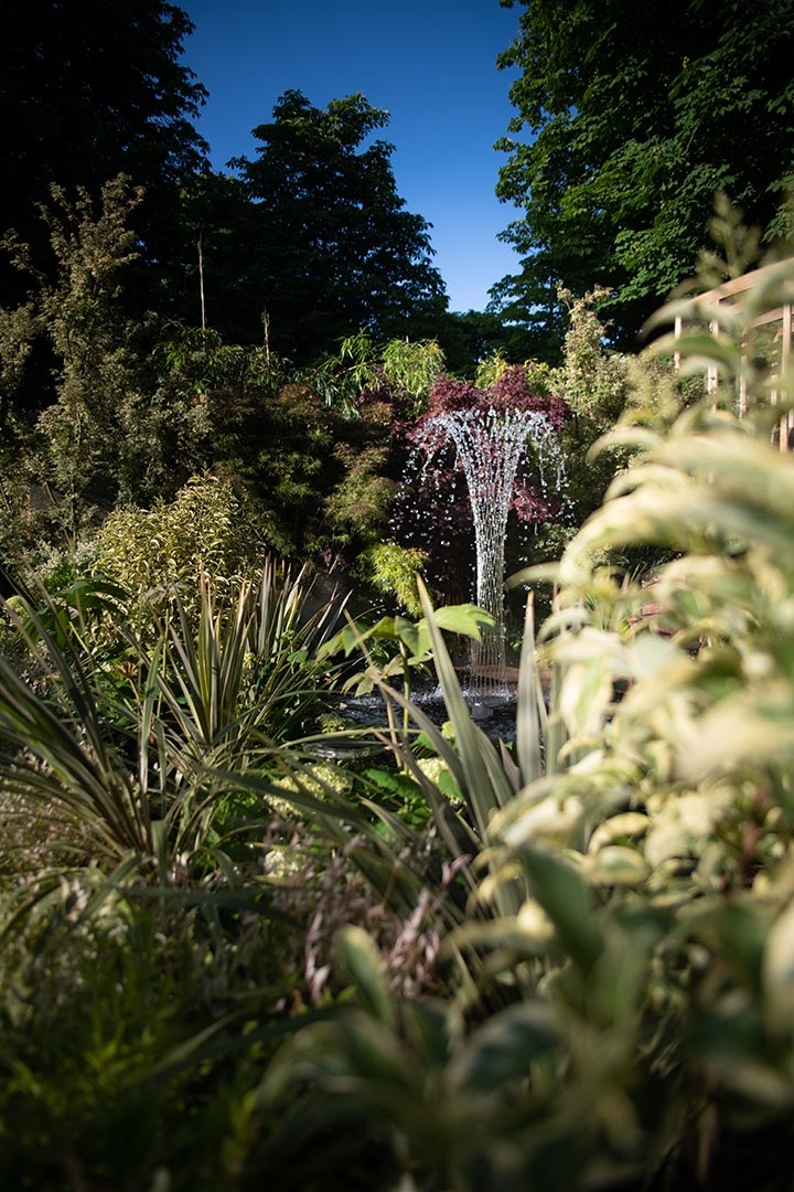 Horticulture et Jardins-Paysagiste-Salon Jardins, jardin 2019 - Robinson des villes-Jardin - photo 4