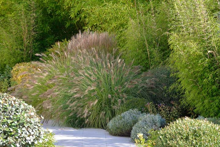 Jardins Intemporels-Paysagiste-Amenagement d'un jardin contemporain dans le Loiret-Jardin - photo 1