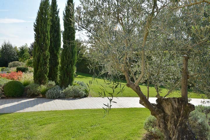 Jardins Intemporels-Paysagiste-Amenagement d'un jardin contemporain dans le Loiret-Jardin - photo 3