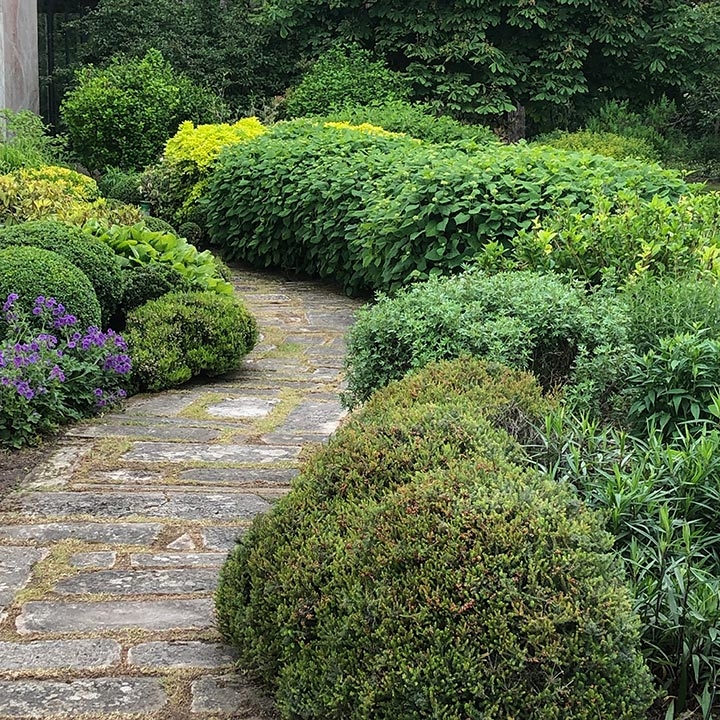 Jardins Intemporels-Paysagiste-Aménagement paysager d'un jardin de buis-Jardin - photo 2