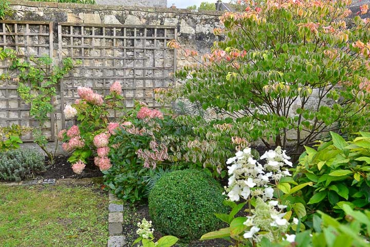 Jardins Intemporels-Paysagiste-Amenagement d'un jardin paysager à la campagne-Jardin - photo 2