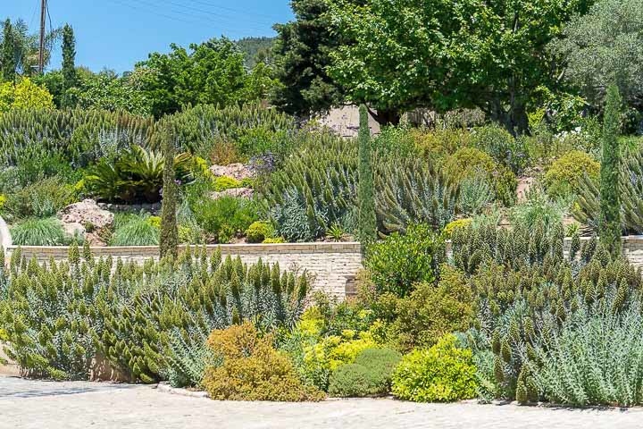 Opus Paysage-Paysagiste-Un jardin méditerranéen - Le Jardin du Parthénon-Jardin - photo 2