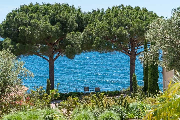 Opus Paysage-Paysagiste-Un jardin méditerranéen - Le Jardin du Parthénon-Jardin - photo 3