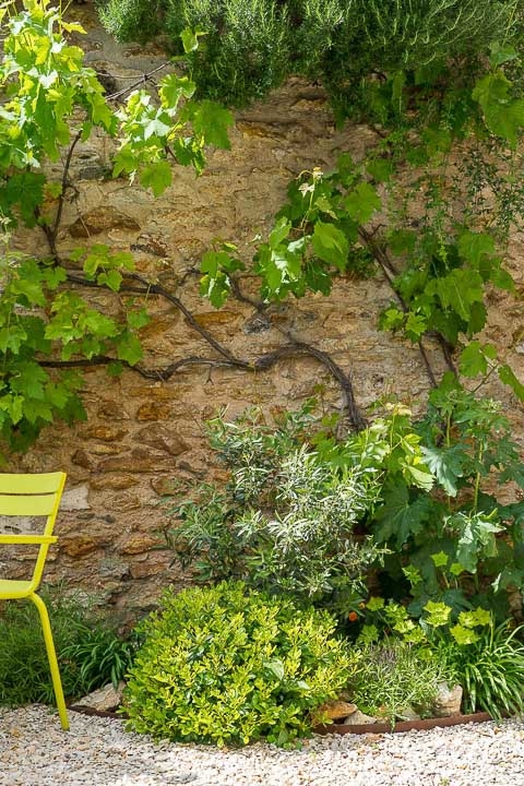 Opus Paysage-Paysagiste-Un jardin contemporain en Ile de France, le jardin de La Renaissance-Jardin - photo 4