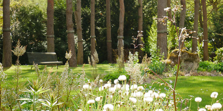 Opus Paysage-Paysagiste-Un jardin de paysagiste à Barbizon : le jardin des rochers-Jardin - photo 1