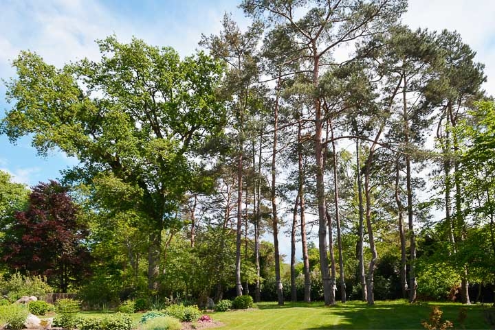 Opus Paysage-Paysagiste-Un jardin de paysagiste à Barbizon : le jardin des rochers-Jardin - photo 1