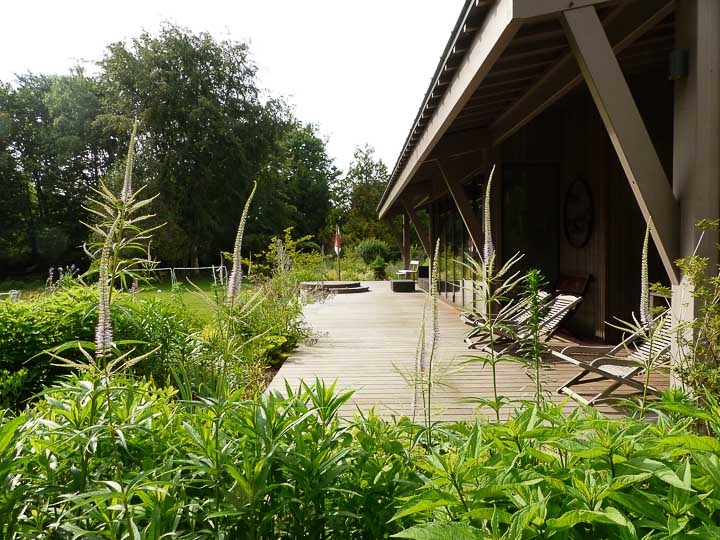 Opus Paysage-Paysagiste-Un jardin de paysagiste à Barbizon : le jardin des rochers-Jardin - photo 2