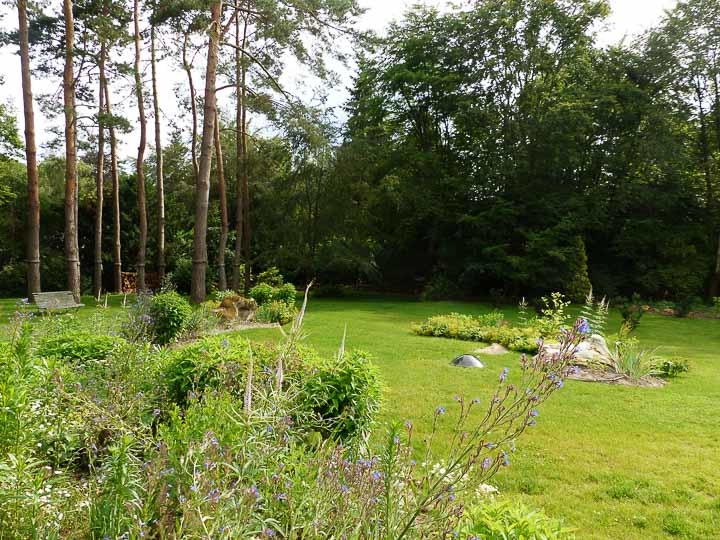 Opus Paysage-Paysagiste-Un jardin de paysagiste à Barbizon : le jardin des rochers-Jardin - photo 2