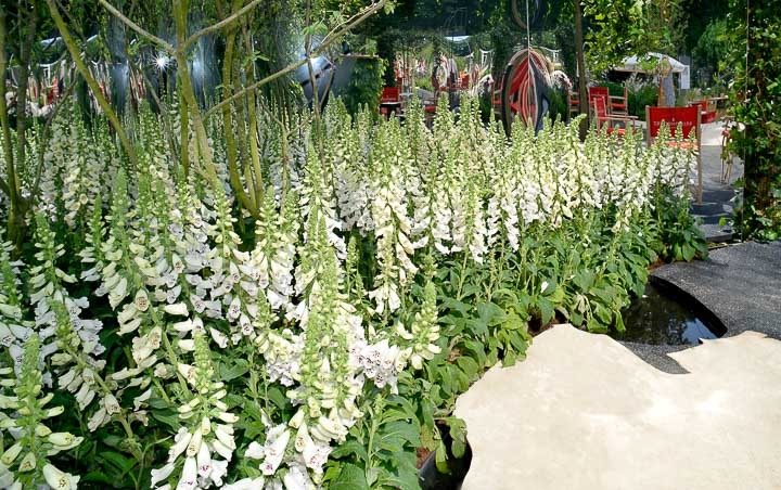 Opus Paysage-Paysagiste-Jardin éphémère aux Tuileries, pour le salon Jardins,jardin 2018-Jardin - photo 4