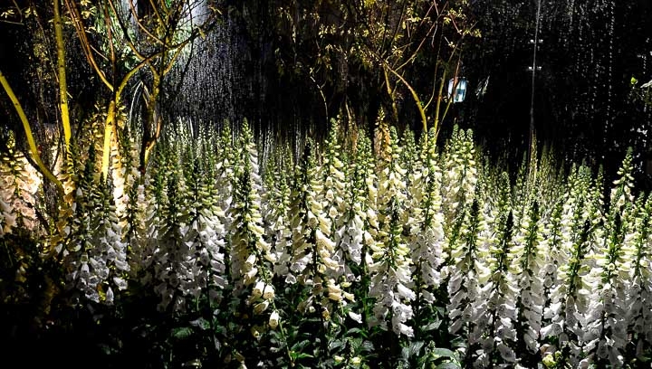 Opus Paysage-Paysagiste-Jardin éphémère aux Tuileries, pour le salon Jardins,jardin 2018-Jardin - photo 1