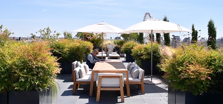 Horticulture et Jardins-Paysagiste-Jardin terrasse de la suite Belle Etoile, hotel Le Meurice-Terrasse - photo 4