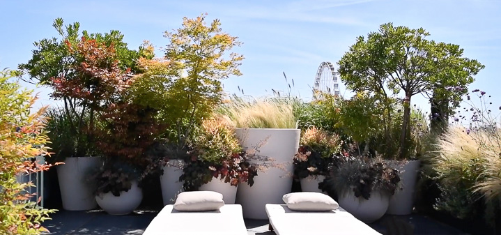 Horticulture et Jardins-Paysagiste-Jardin terrasse de la suite Belle Etoile, hotel Le Meurice-Terrasse - photo 3