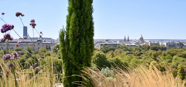 Horticulture et Jardins-Paysagiste-Jardin terrasse de la suite Belle Etoile, hotel Le Meurice-Terrasse - photo 1