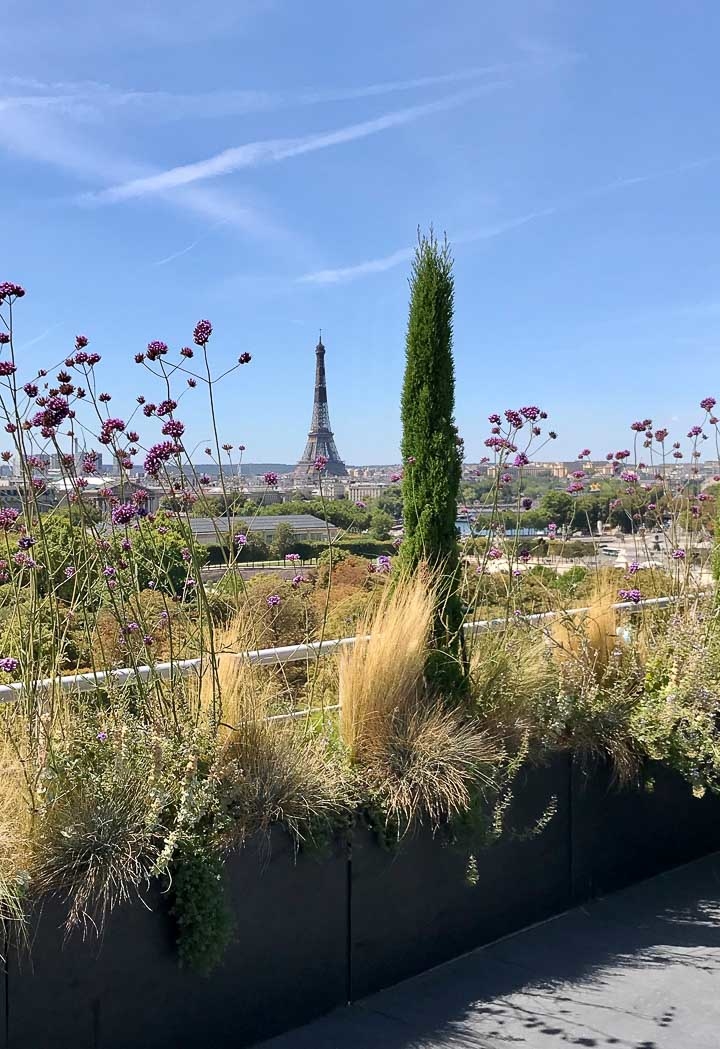 Horticulture et Jardins-Paysagiste-Jardin terrasse de la suite Belle Etoile, hotel Le Meurice-Terrasse - photo 3