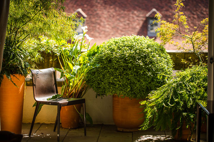 Opus Paysage-Paysagiste-Aménagement d'une terrasse à Paris-Terrasse - photo 1