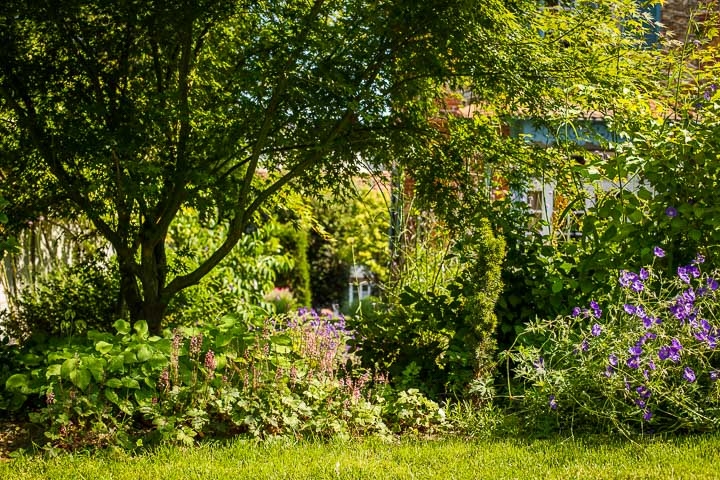 Opus Paysage-Paysagiste-Un jardin paysager en pente douce-Jardin - photo 3
