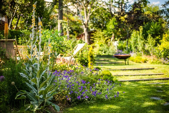 Opus Paysage-Paysagiste-Un jardin paysager en pente douce-Jardin - photo 2