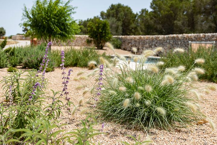 Opus Paysage-Paysagiste-Aménagement paysager d'un jardin méditerranéen-Jardin - photo 1