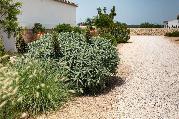 Opus Paysage-Paysagiste-Aménagement paysager d'un jardin méditerranéen-Jardin - photo 2